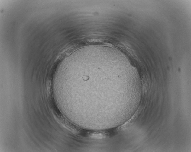 X0000078280171200611251427