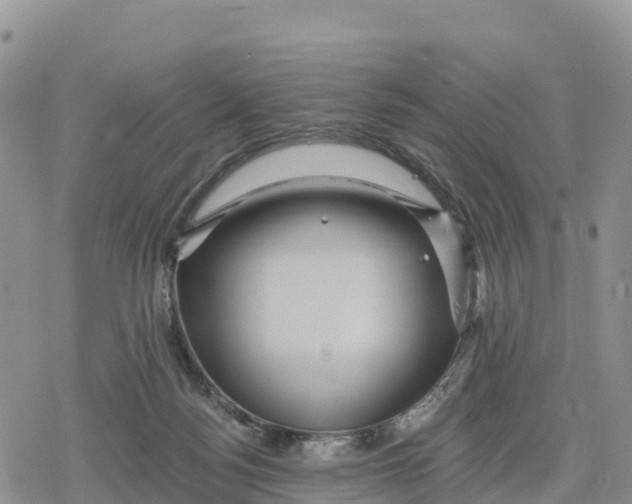 X0000078280172200611251427