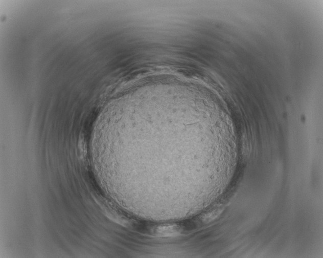 X0000078280173200611251427