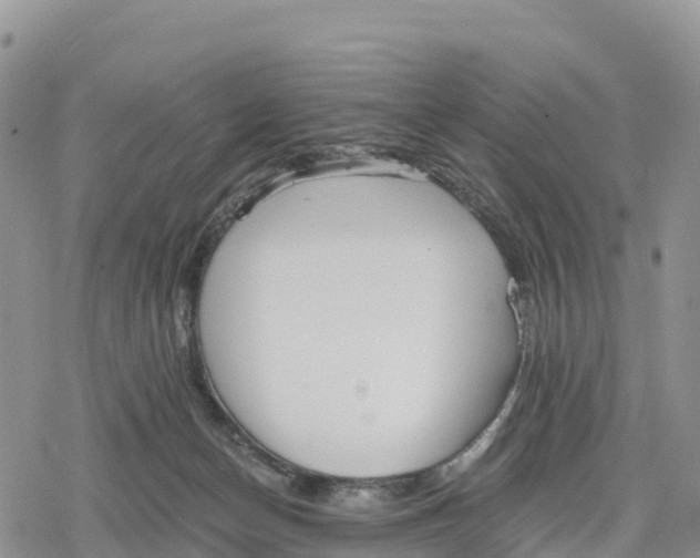 X0000078280174200611251427