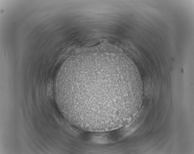 X0000078280175200611251427