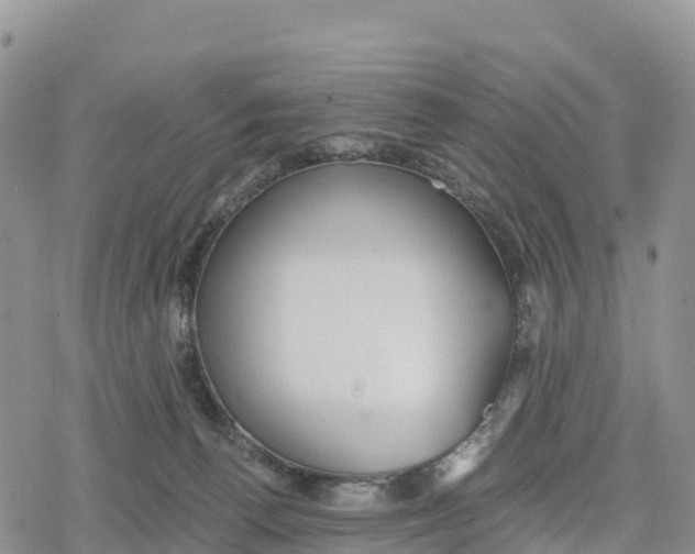 X0000078280176200611251427