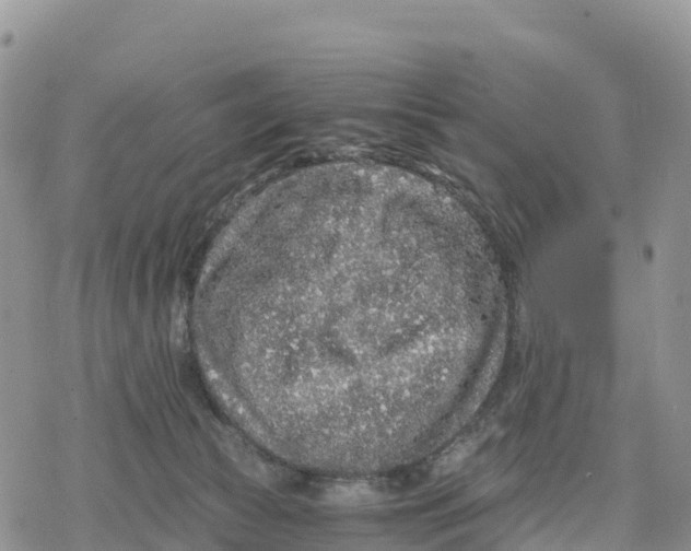 X0000078280177200611251427