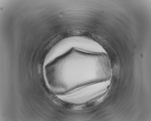 X0000078280178200611251427