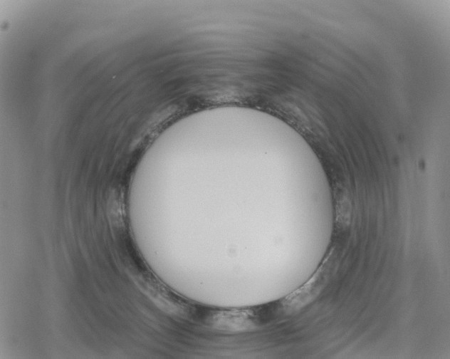 X0000078280179200611251427