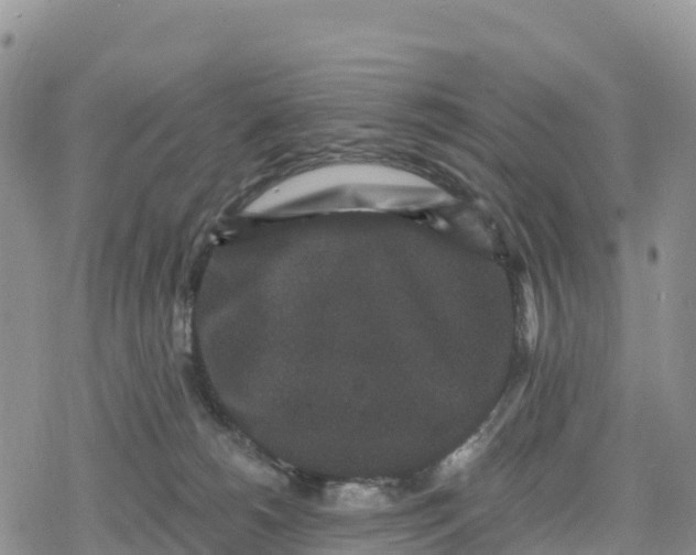 X0000078280180200611251427