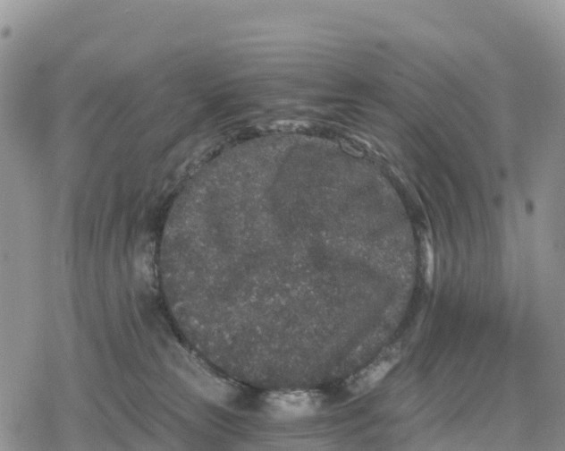 X0000078280181200611251427