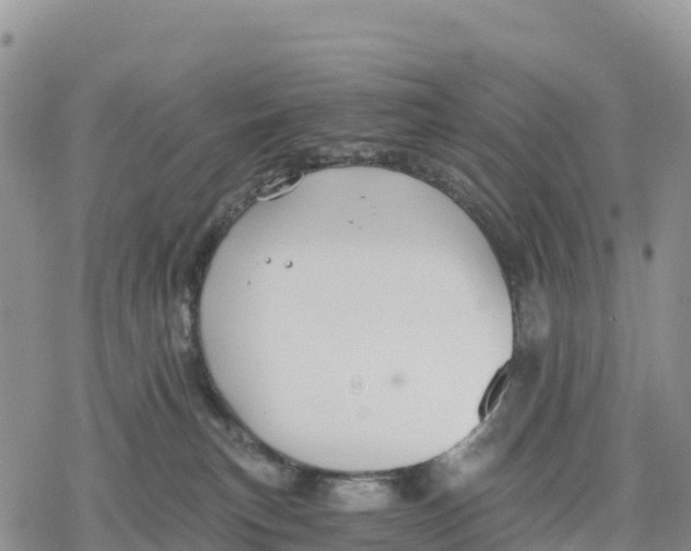 X0000078280183200611251427