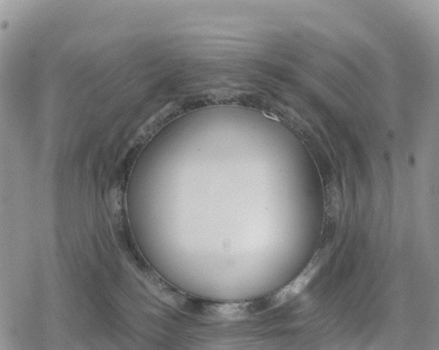 X0000078280184200611251427