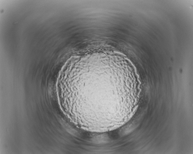 X0000078280185200611251427