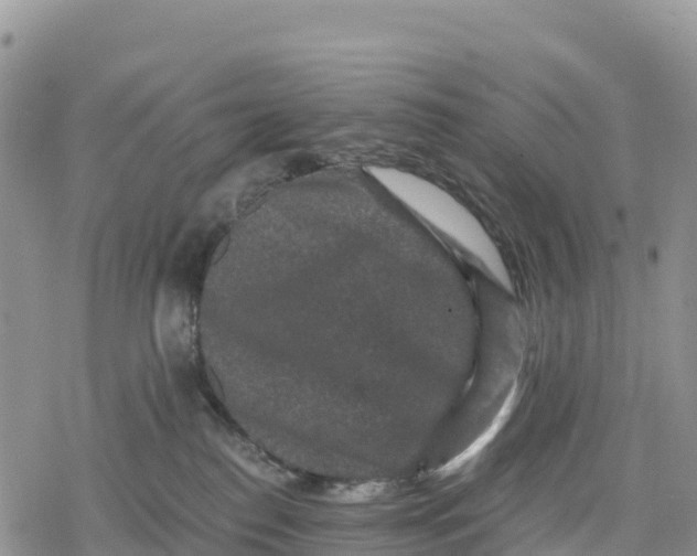 X0000078280186200611251427