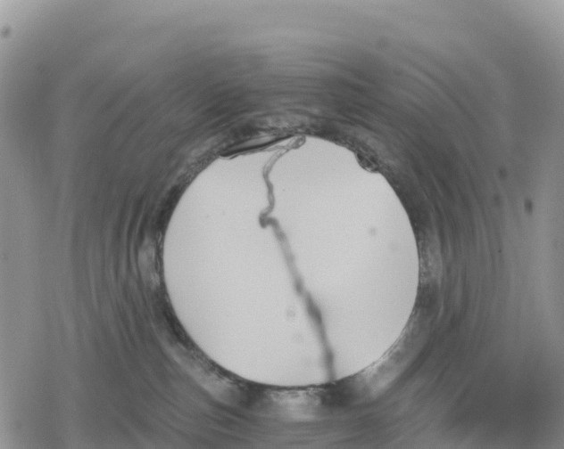 X0000078280187200611251427