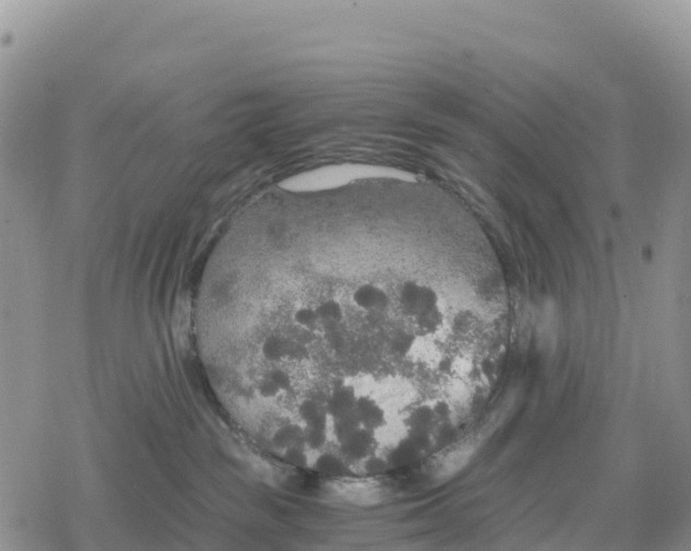 X0000078280189200611251427