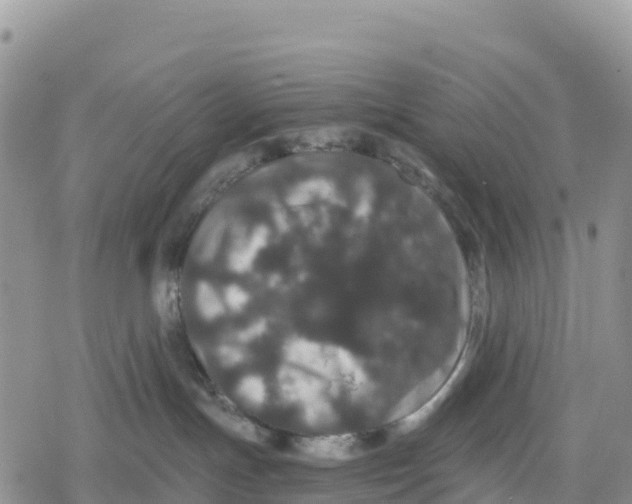 X0000078280191200611251427