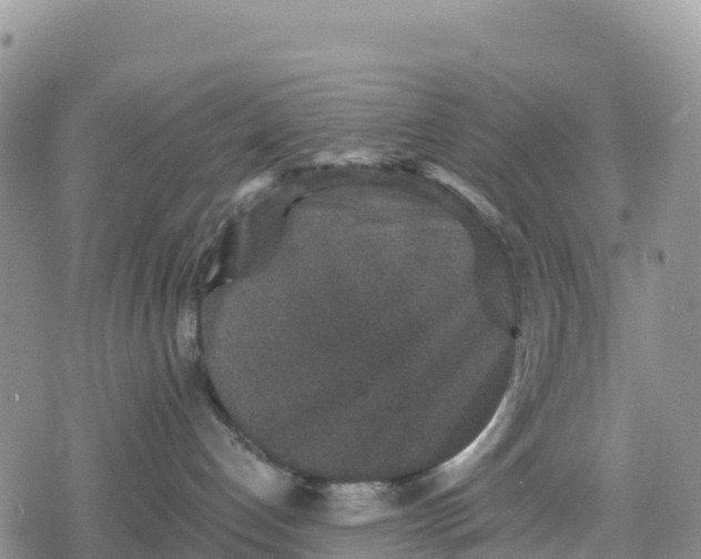 X0000078280192200611251427