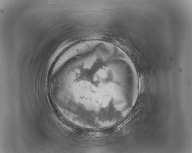 X0000078280195200611251427