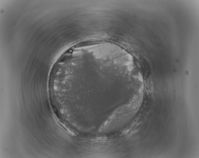 X0000078280196200611251427