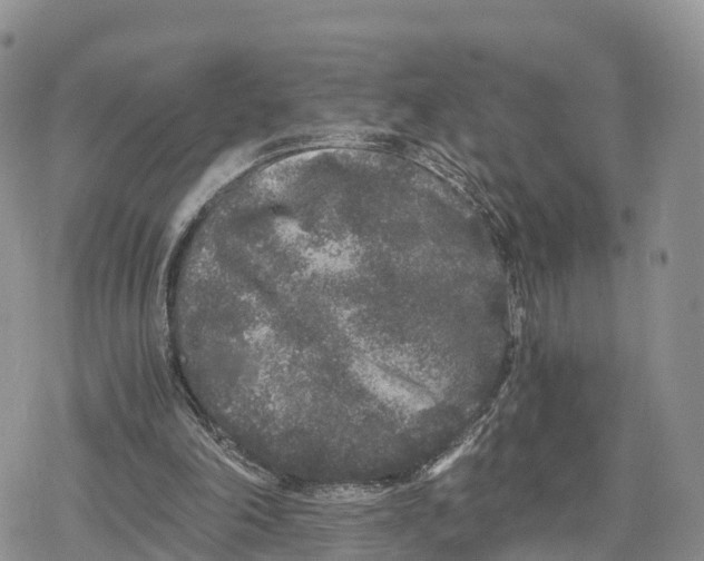 X0000078280198200611251426