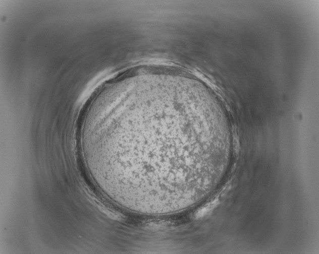 X0000078280199200611251426