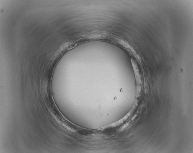 X0000078280201200611251426