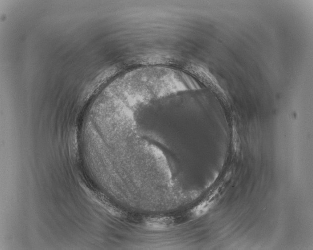 X0000078280202200611251426