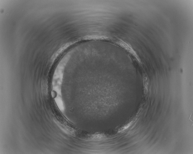 X0000078280204200611251426