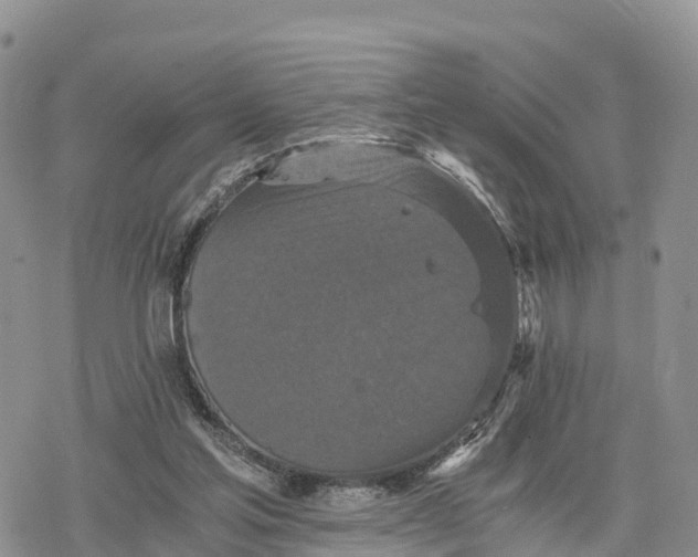 X0000078280205200611251426