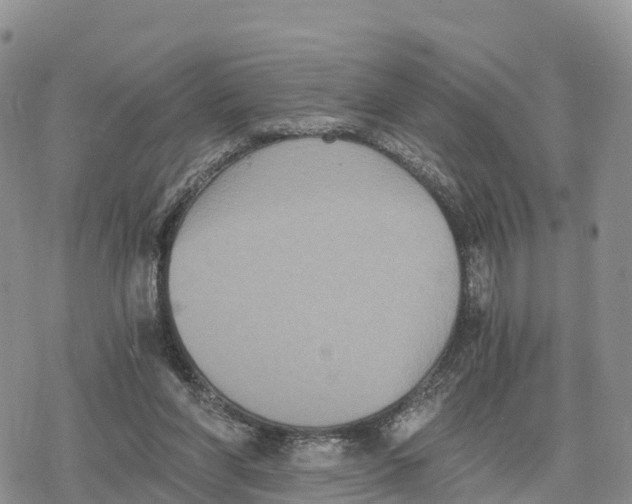 X0000078280206200611251426