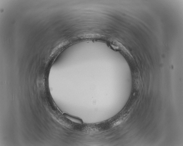 X0000078280207200611251426