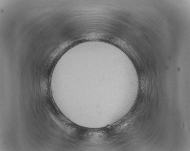 X0000078280208200611251426