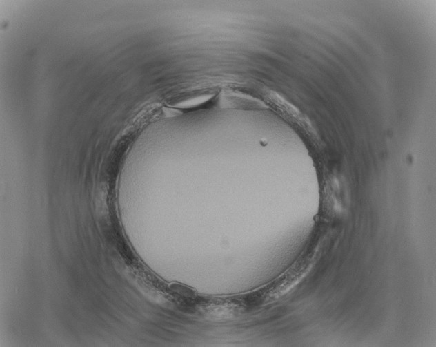 X0000078280209200611251426