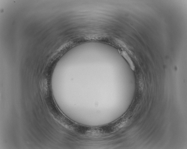 X0000078280211200611251426