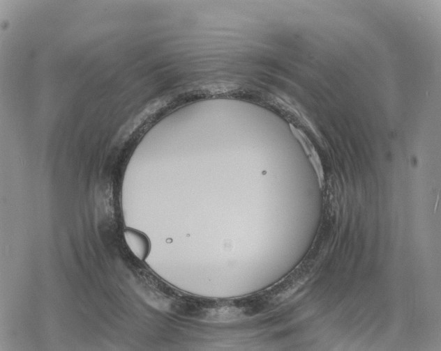 X0000078280212200611251426