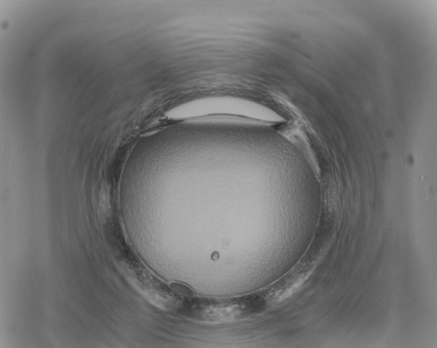 X0000078280213200611251426