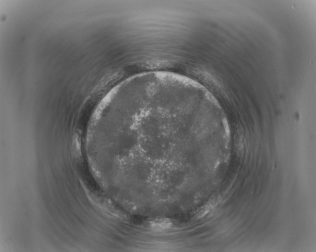 X0000078280214200611251426