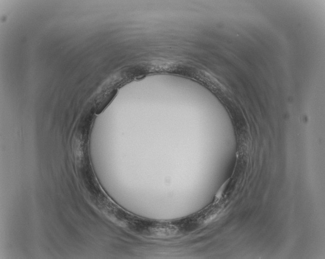 X0000078280215200611251426