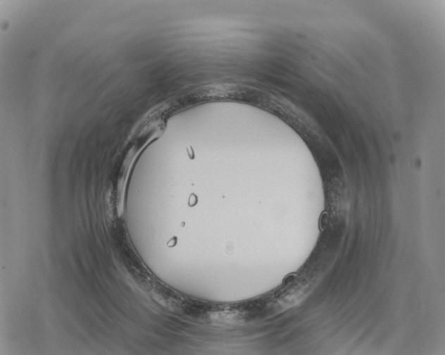 X0000078280216200611251426