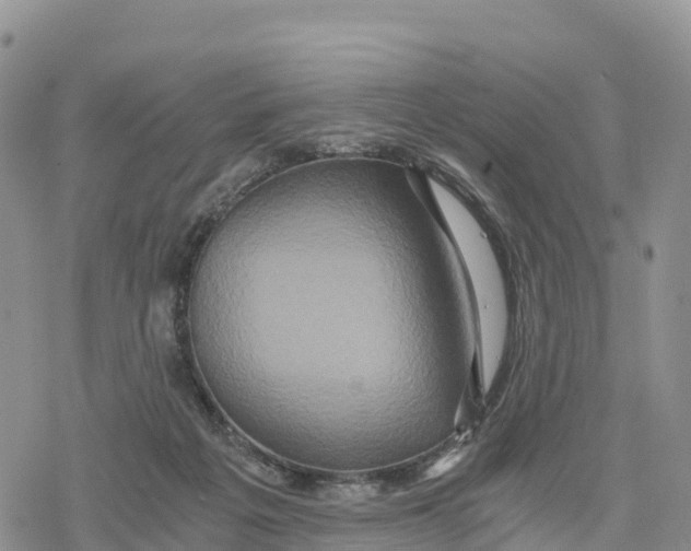 X0000078280217200611251426