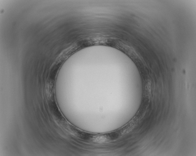 X0000078280218200611251426