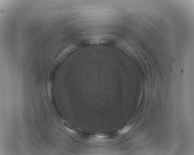 X0000078280219200611251426