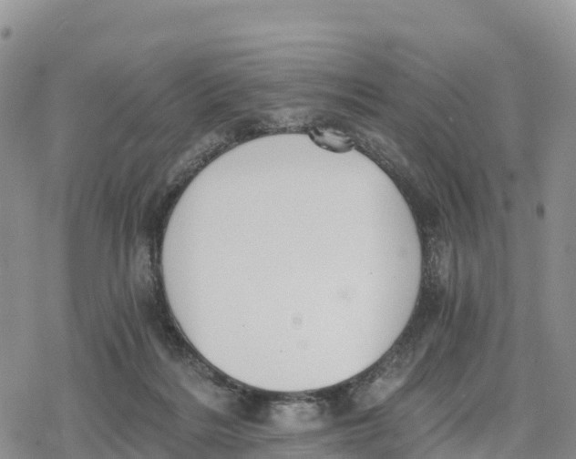 X0000078280220200611251426