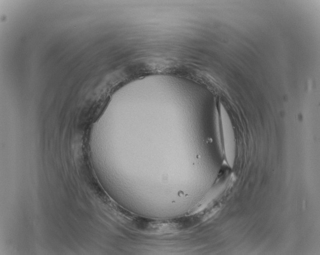 X0000078280221200611251426