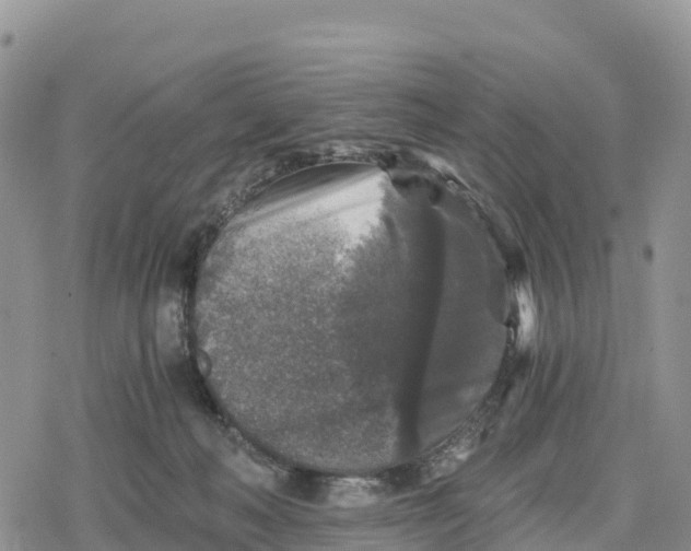 X0000078280222200611251426