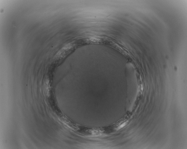 X0000078280223200611251426