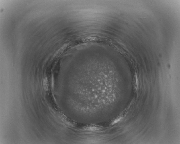 X0000078280224200611251426