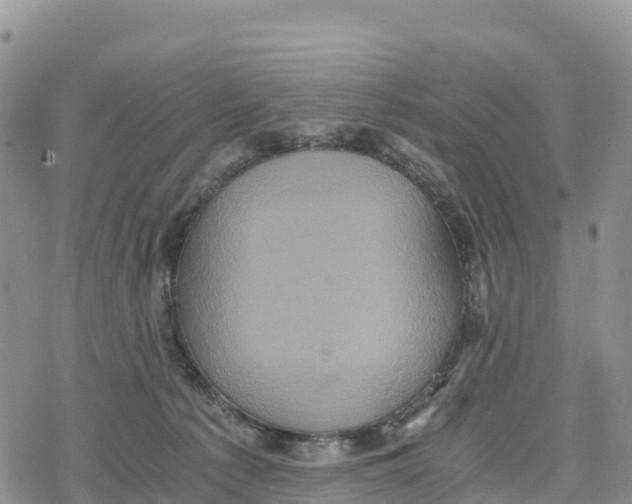 X0000078280225200611251426