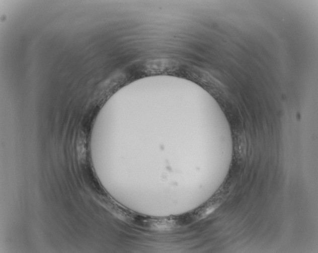 X0000078280226200611251426