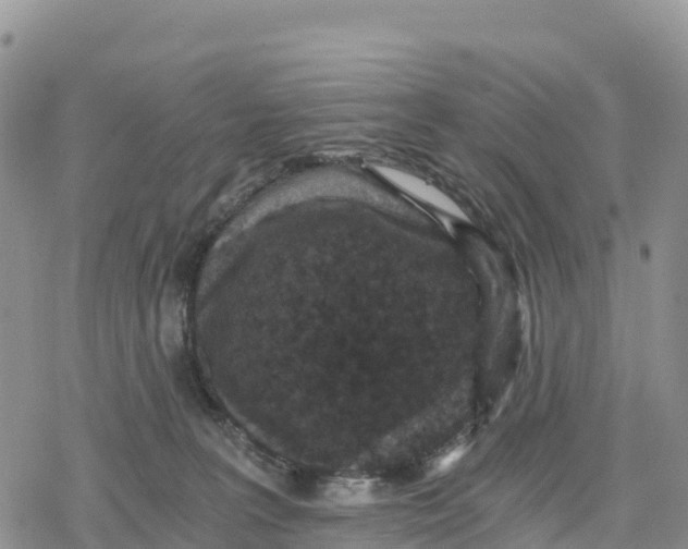 X0000078280227200611251426