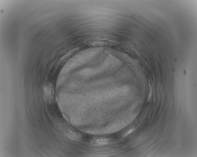 X0000078280228200611251426