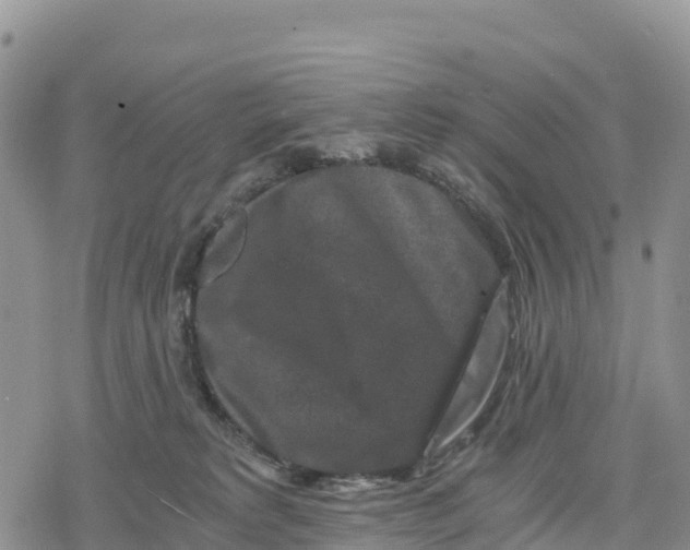 X0000078280229200611251426